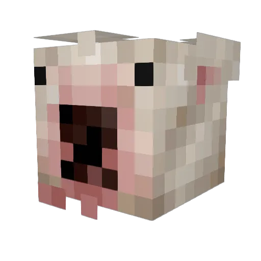 cursedtrees Minecraft avatar head, 3D render