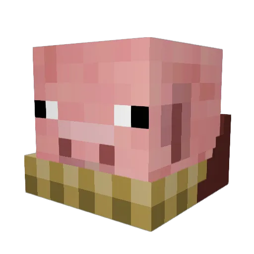 curtwild Minecraft avatar head, 3D render