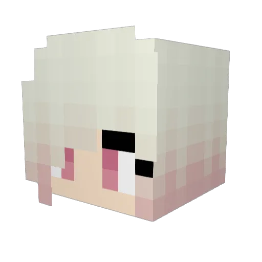 cusbus Minecraft avatar head, 3D render
