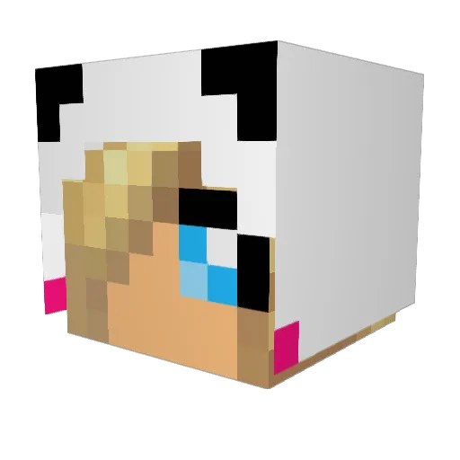 cush13 Minecraft avatar head, 3D render