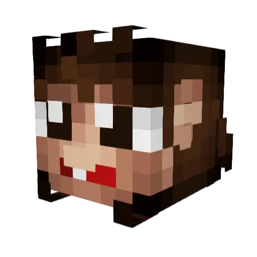 custodial_arts Minecraft avatar head, 3D render