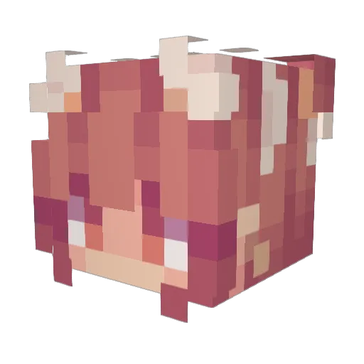 cute_cookie102 Minecraft avatar head, 3D render