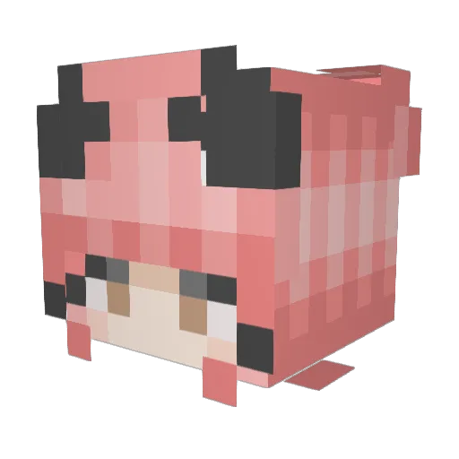 cuteanomaly Minecraft avatar head, 3D render