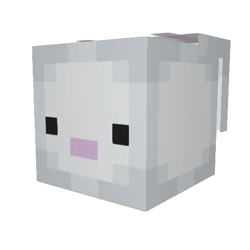 cutebunny1611 Minecraft avatar head, 3D render