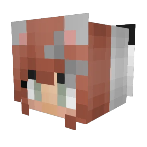 cutebunnykyu Minecraft avatar head, 3D render