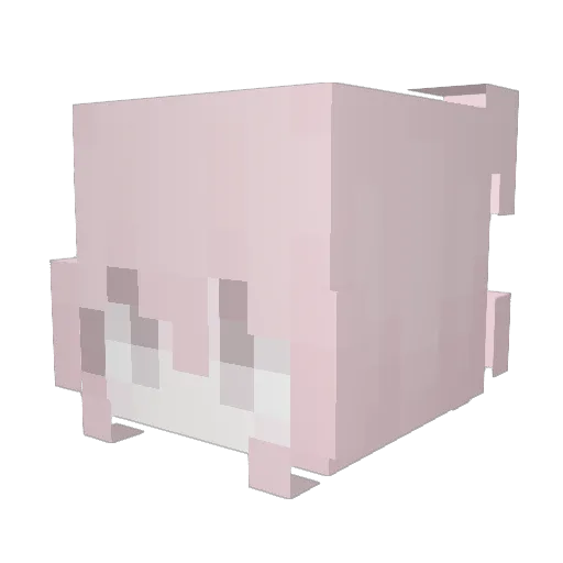 cutecat24 Minecraft avatar head, 3D render