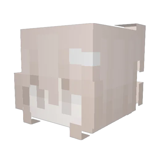 cutecat299 Minecraft avatar head, 3D render