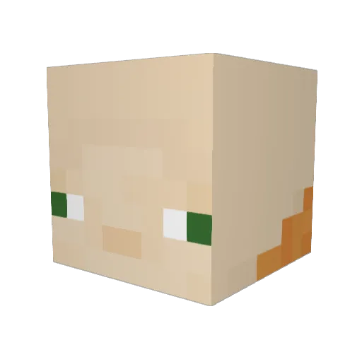 cutefarts Minecraft avatar head, 3D render