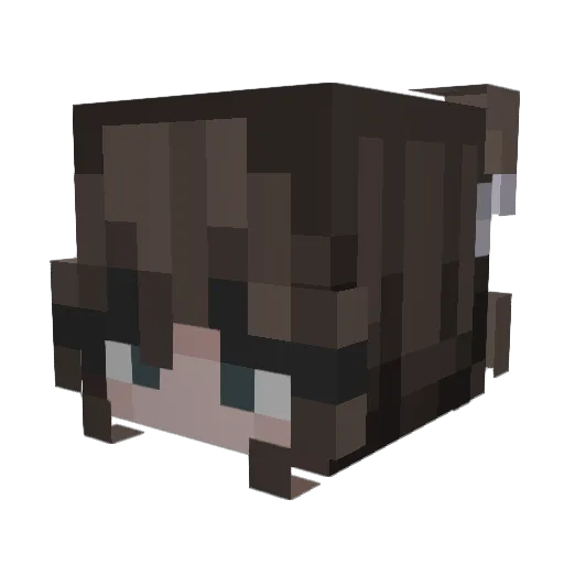 cutekittens9 Minecraft avatar head, 3D render