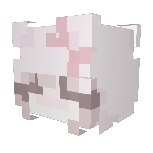 cutekittychuckle Minecraft avatar head, 3D render