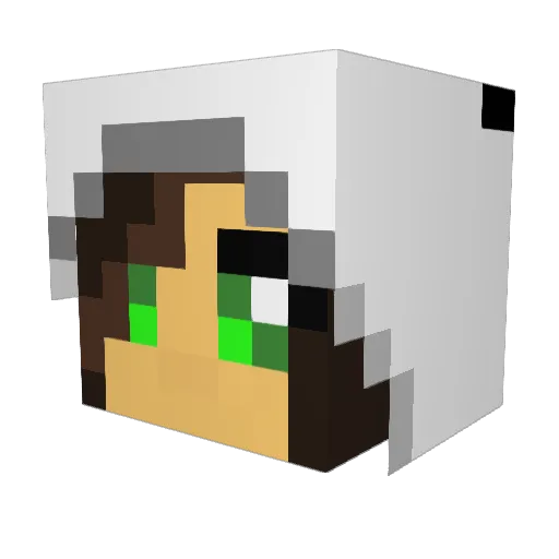 cutepanda55 Minecraft avatar head, 3D render