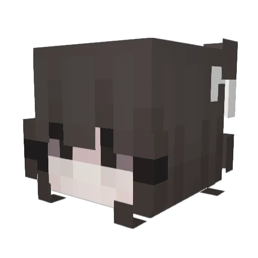 cutestury Minecraft avatar head, 3D render