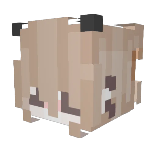 cuteybeertje06 Minecraft avatar head, 3D render