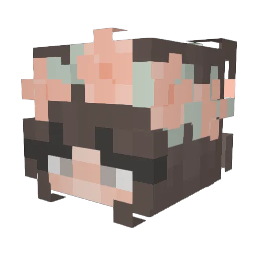 cutie_farmgirl10 Minecraft avatar head, 3D render