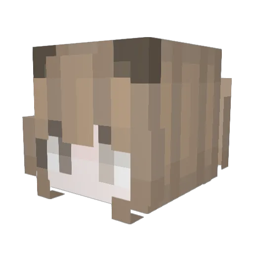 cutsei Minecraft avatar head, 3D render