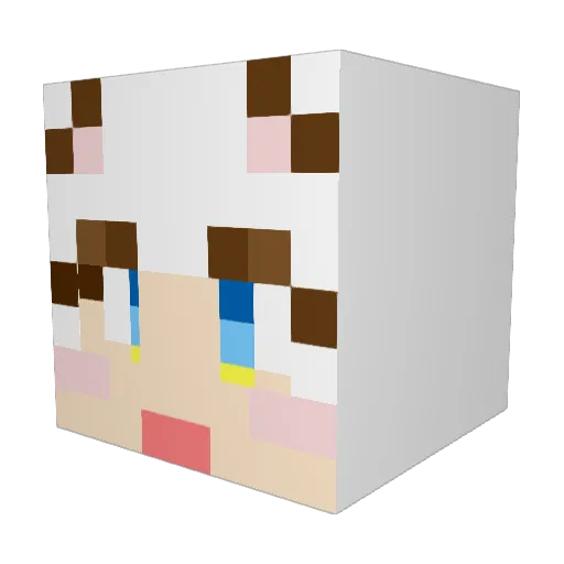 cutslott Minecraft avatar head, 3D render
