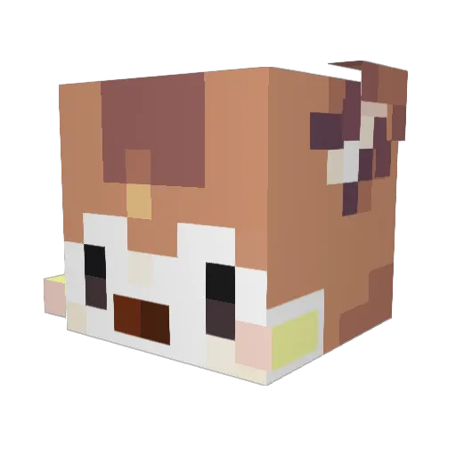 cuttlefjsh Minecraft avatar head, 3D render