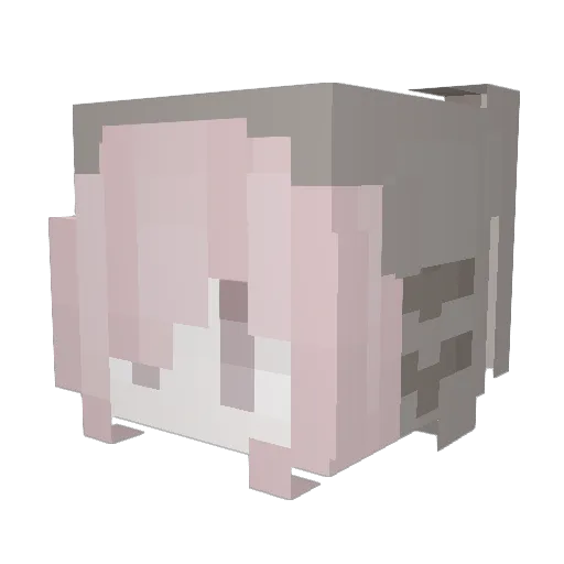 cuupcke Minecraft avatar head, 3D render