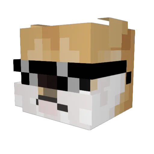 cuygamer Minecraft avatar head, 3D render