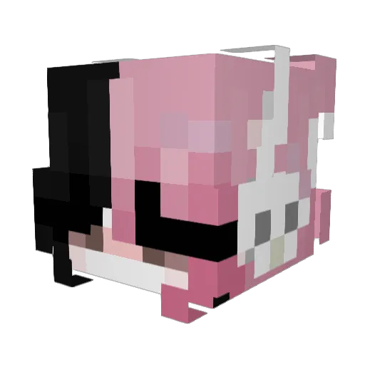 cuznq Minecraft avatar head, 3D render