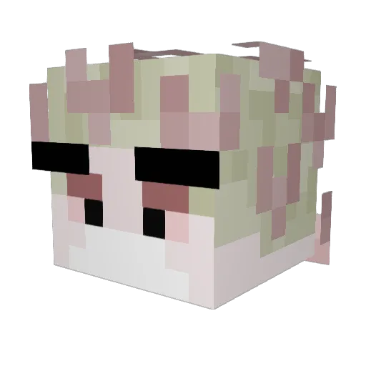 cvntb0y Minecraft avatar head, 3D render