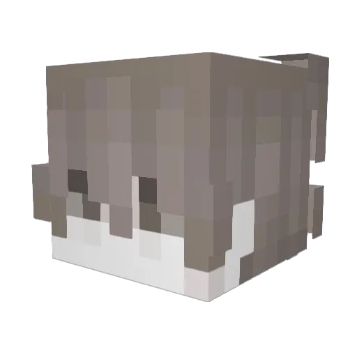 cvstingspells Minecraft avatar head, 3D render