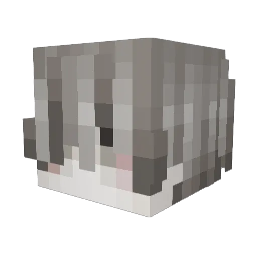 cvxcvxcvxcvxcvx Minecraft avatar head, 3D render