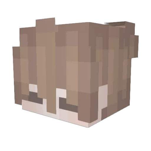 cwaspurr Minecraft avatar head, 3D render