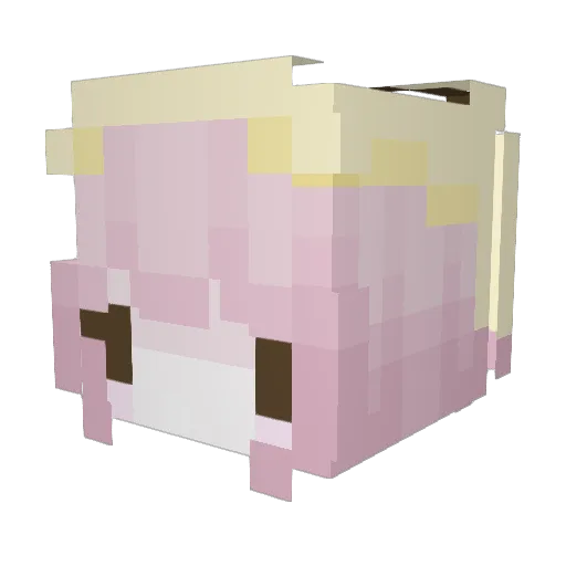 cwemetery Minecraft avatar head, 3D render