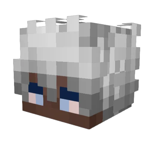 cwl_z_bidula Minecraft avatar head, 3D render