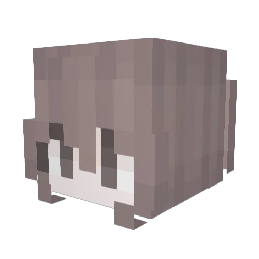 cwrrupt Minecraft avatar head, 3D render