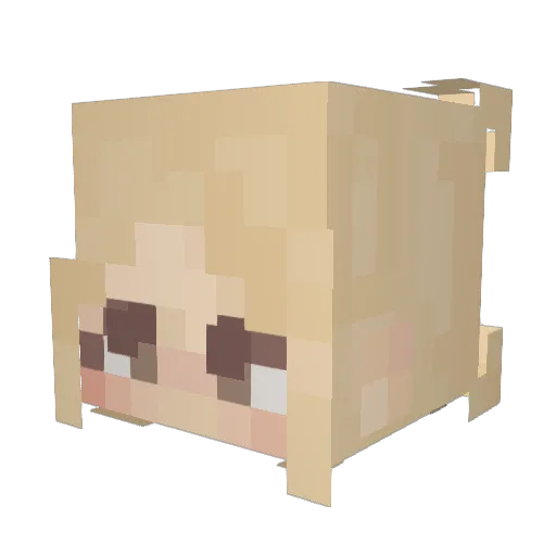 cwyanwide Minecraft avatar head, 3D render