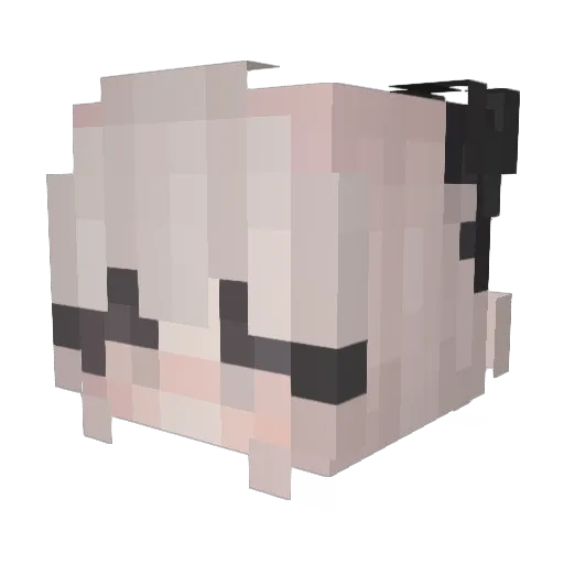 cxndce Minecraft avatar head, 3D render