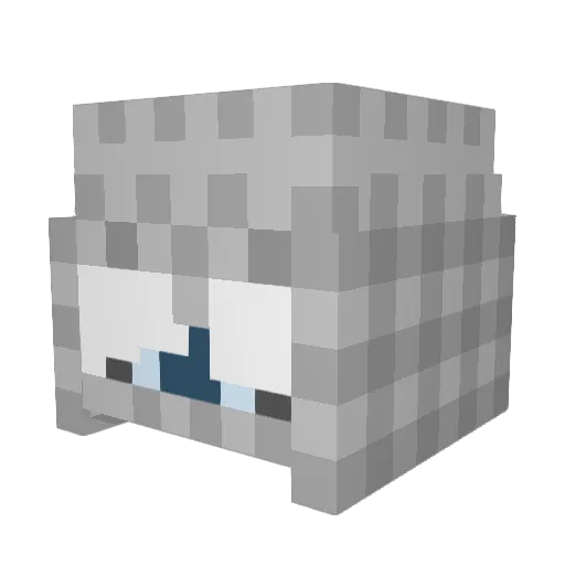 cxntrolz Minecraft avatar head, 3D render