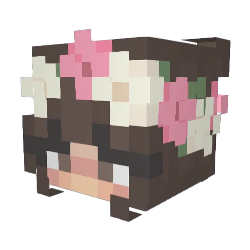 cxttoncandy Minecraft avatar head, 3D render