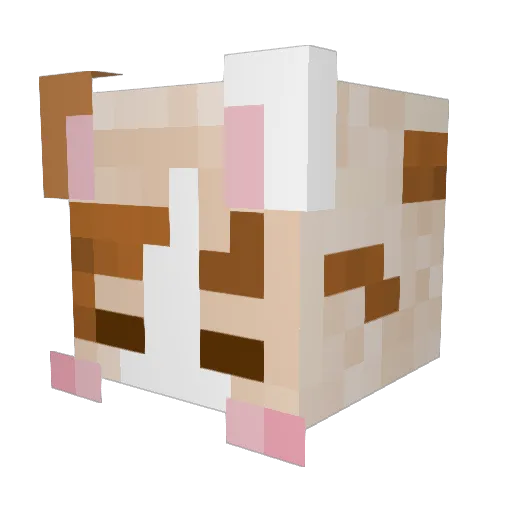 cxxxxxs Minecraft avatar head, 3D render