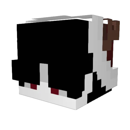 cy_morgue Minecraft avatar head, 3D render