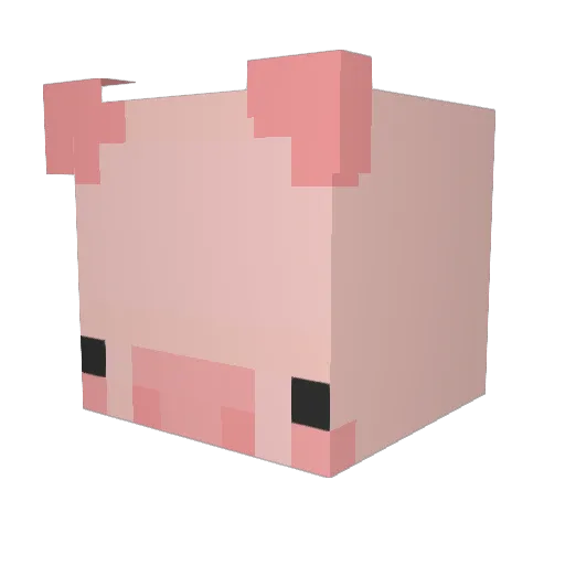 cyanpigg Minecraft avatar head, 3D render