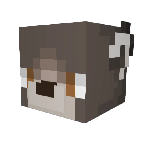cyber9622 Minecraft avatar head, 3D render
