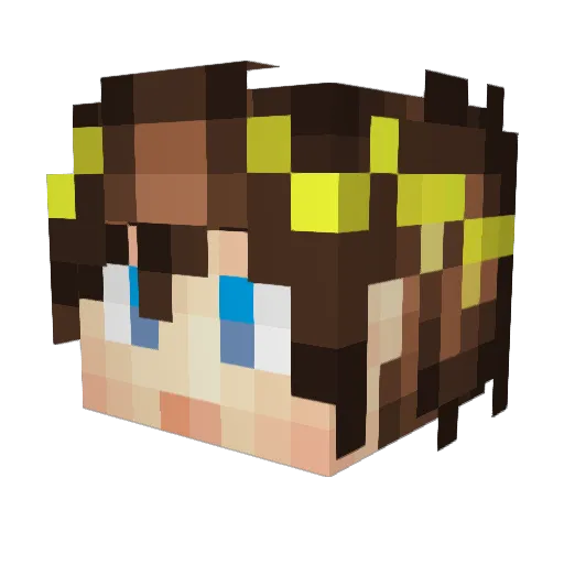cyberbot0 Minecraft avatar head, 3D render