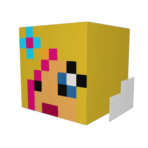 cyberirwin Minecraft avatar head, 3D render