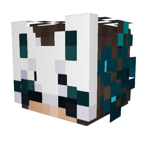 cybernerd9 Minecraft avatar head, 3D render