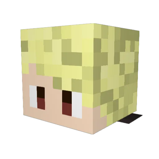 cyberswordsmen Minecraft avatar head, 3D render