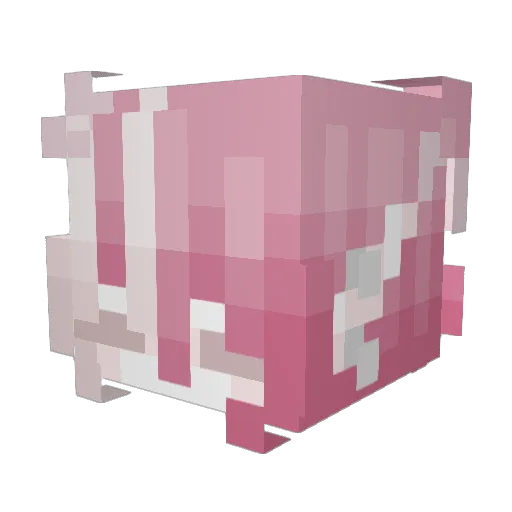 cyborg7312 Minecraft avatar head, 3D render
