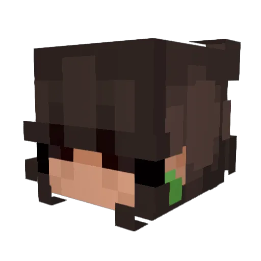 cybug8 Minecraft avatar head, 3D render