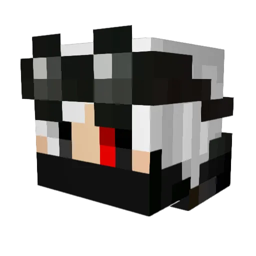 cyclo1345 Minecraft avatar head, 3D render