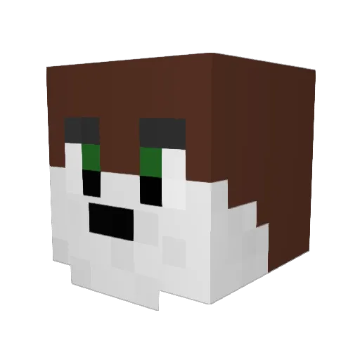 cyclonepiggy Minecraft avatar head, 3D render