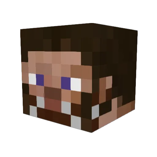 cyclonicbiscuit Minecraft avatar head, 3D render