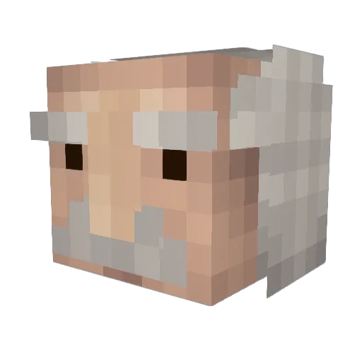 cygnex1 Minecraft avatar head, 3D render