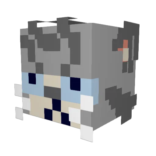 cyima Minecraft avatar head, 3D render
